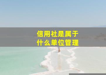 信用社是属于什么单位管理