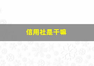 信用社是干嘛