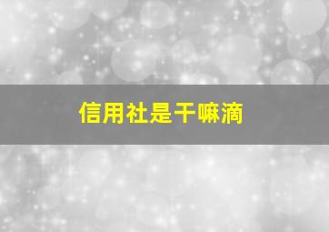 信用社是干嘛滴