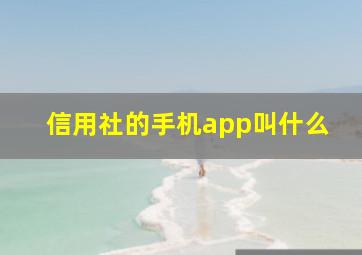 信用社的手机app叫什么