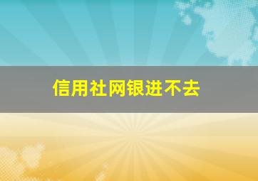 信用社网银进不去