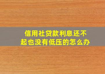 信用社贷款利息还不起也没有低压的怎么办