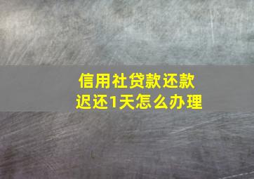 信用社贷款还款迟还1天怎么办理