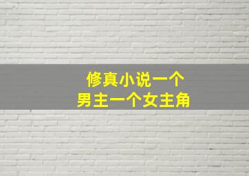 修真小说一个男主一个女主角