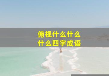 俯视什么什么什么四字成语