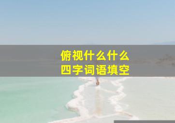 俯视什么什么四字词语填空