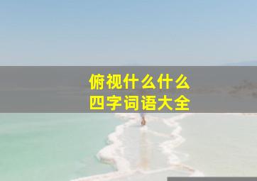 俯视什么什么四字词语大全