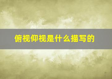 俯视仰视是什么描写的