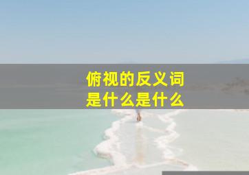 俯视的反义词是什么是什么