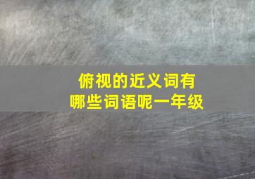 俯视的近义词有哪些词语呢一年级