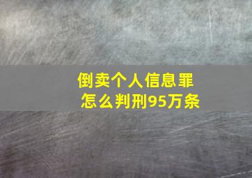 倒卖个人信息罪怎么判刑95万条