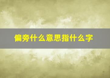 偏旁什么意思指什么字