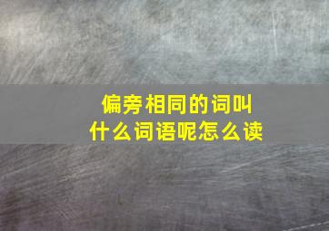 偏旁相同的词叫什么词语呢怎么读