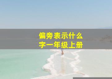 偏旁表示什么字一年级上册