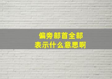 偏旁部首全部表示什么意思啊