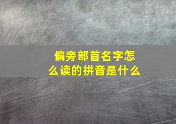 偏旁部首名字怎么读的拼音是什么