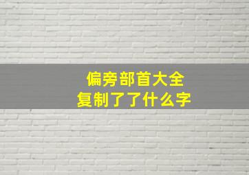 偏旁部首大全复制了了什么字