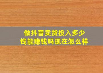 做抖音卖货投入多少钱能赚钱吗现在怎么样