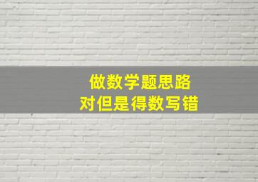 做数学题思路对但是得数写错