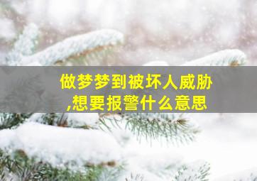 做梦梦到被坏人威胁,想要报警什么意思