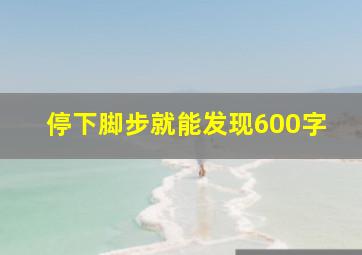 停下脚步就能发现600字