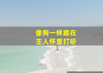 像狗一样跪在主人怀里打听