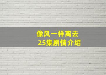 像风一样离去25集剧情介绍