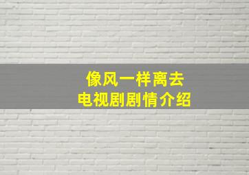 像风一样离去电视剧剧情介绍