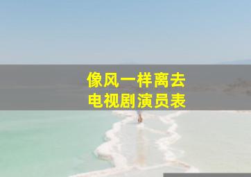 像风一样离去电视剧演员表