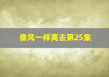 像风一样离去第25集