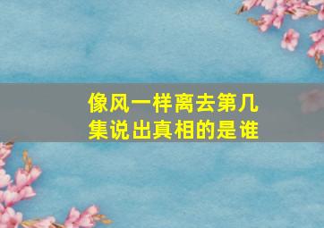 像风一样离去第几集说出真相的是谁