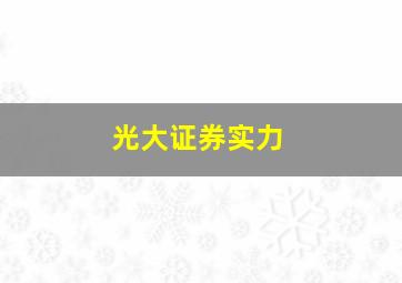 光大证券实力