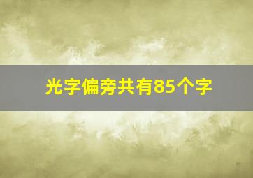 光字偏旁共有85个字