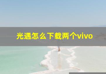 光遇怎么下载两个vivo