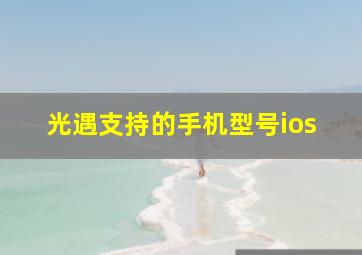 光遇支持的手机型号ios