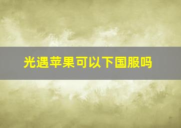 光遇苹果可以下国服吗