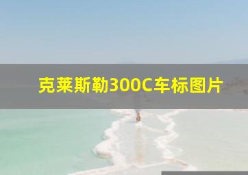 克莱斯勒300C车标图片