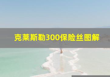 克莱斯勒300保险丝图解