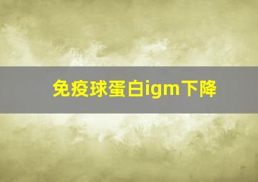 免疫球蛋白igm下降