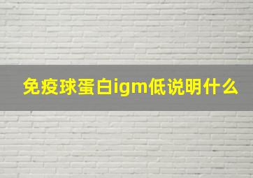 免疫球蛋白igm低说明什么