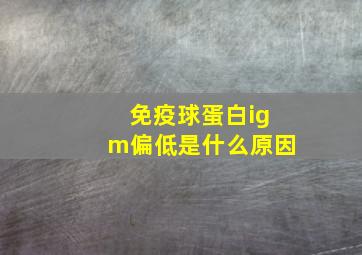 免疫球蛋白igm偏低是什么原因