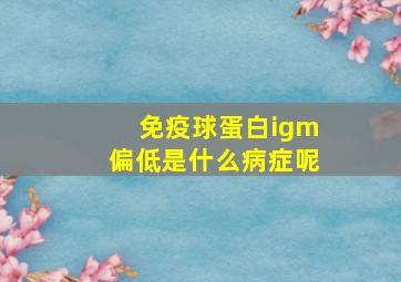 免疫球蛋白igm偏低是什么病症呢