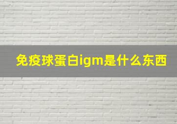 免疫球蛋白igm是什么东西