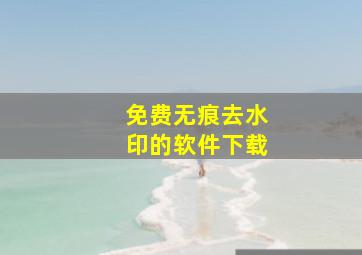 免费无痕去水印的软件下载