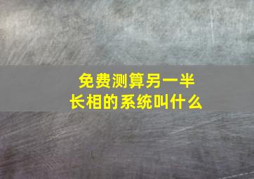 免费测算另一半长相的系统叫什么