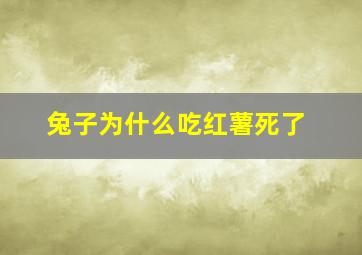 兔子为什么吃红薯死了