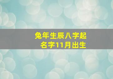 兔年生辰八字起名字11月出生