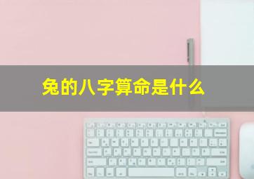 兔的八字算命是什么