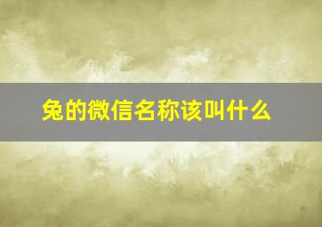 兔的微信名称该叫什么