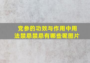 党参的功效与作用中用法禁忌禁忌有哪些呢图片